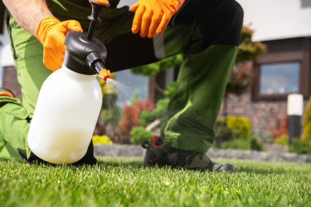 Best Exterminator Services  in Eagle Lake, FL