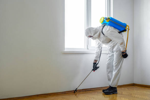 Best Residential Pest Control  in Eagle Lake, FL
