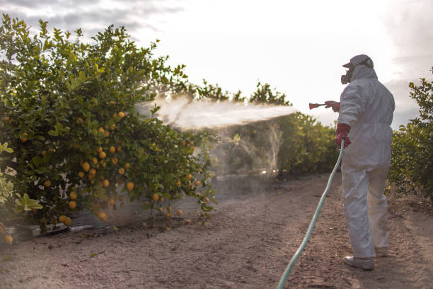 Best Best Pest Control Companies  in Eagle Lake, FL