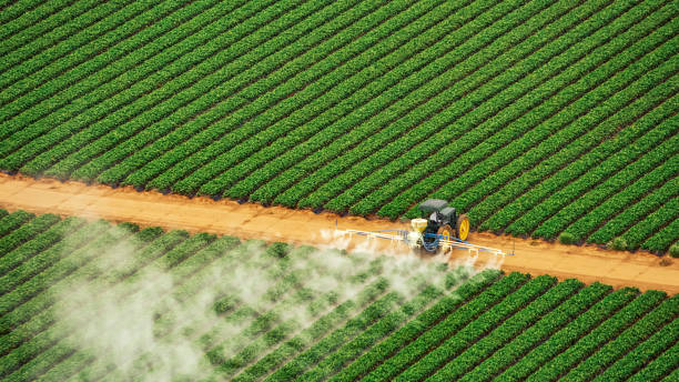 Pest Prevention Services in Eagle Lake, FL