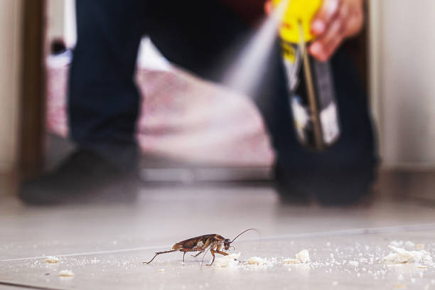 Best Cockroach Control Services  in Eagle Lake, FL